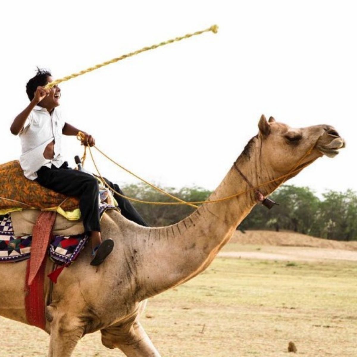 Paseo en camello en Rajasthan durante una experiencia cultural en India para mujeres viajeras